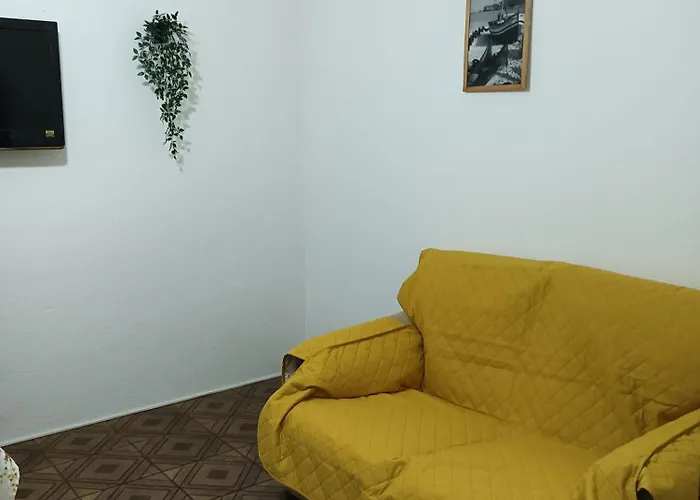 Avos- Wimari Nazaré